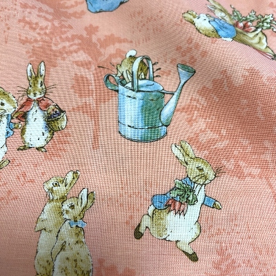 The tale of Peter Rabbit