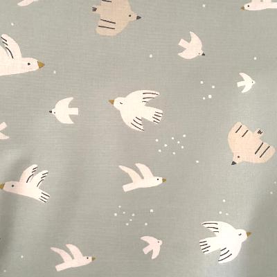 Coton enduit colombes - celadon