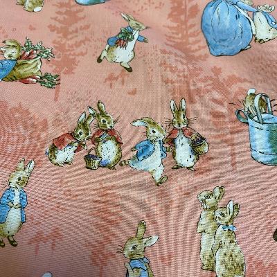 The tale of Peter Rabbit