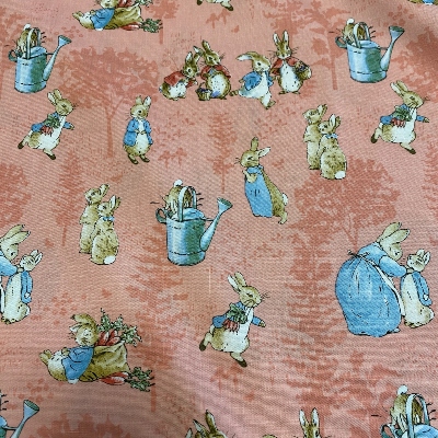 The tale of Peter Rabbit