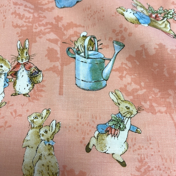 The tale of Peter Rabbit