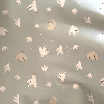 Coton enduit colombes - celadon