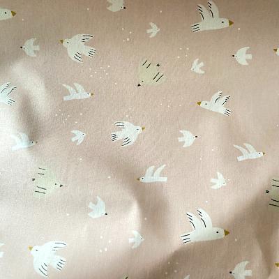 Coton enduit colombes - nude